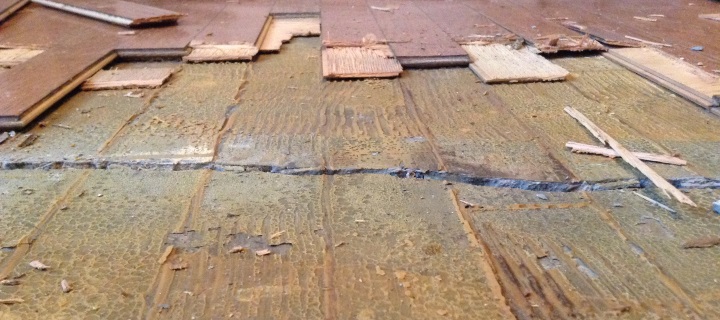 moldy floor trim