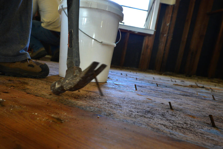 Mold on Subfloor in Kitchen The Mold Hound