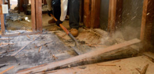 mold on subfloor in bathroom